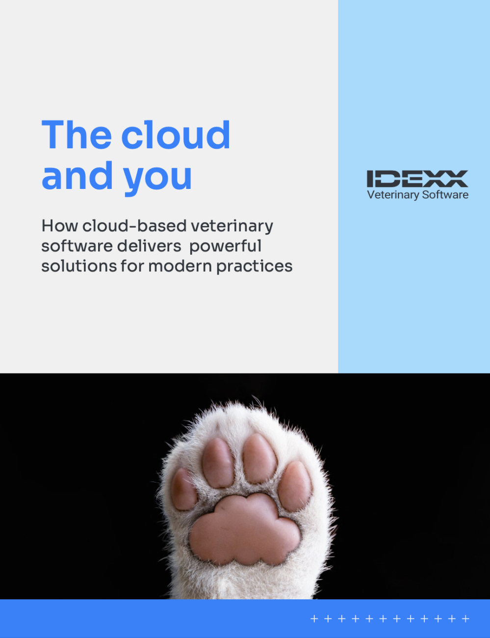 Guide to CloudBased Software for Veterinarians IDEXX Veterinary Software